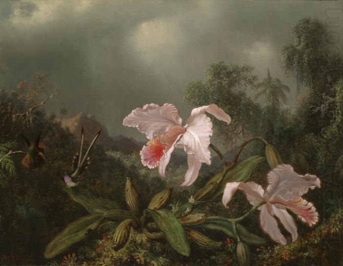 Martin Johnson Heade Jungle Orchids and Hummingbirds china oil painting image